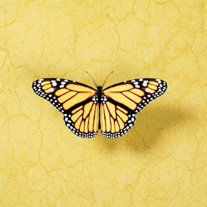 韩国五级黄色包片
