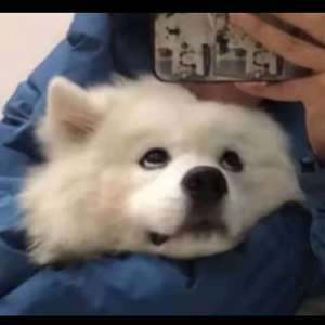 韩国五级黄色包片
